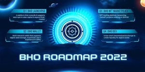 Roadmap 2022 - Bholdus.jpg