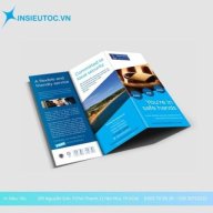 intoroiinsieutocvn