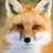 fox119
